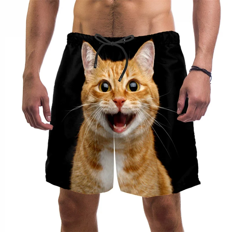 3d Print Funny Cat Beach Short - đánh giá và giá Trunks Board Surf